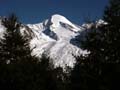 berg2