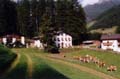 enzhofklein